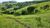 Fazenda, 34 hectares - Foto 4