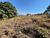 Terreno, 44000 m² - Foto 3