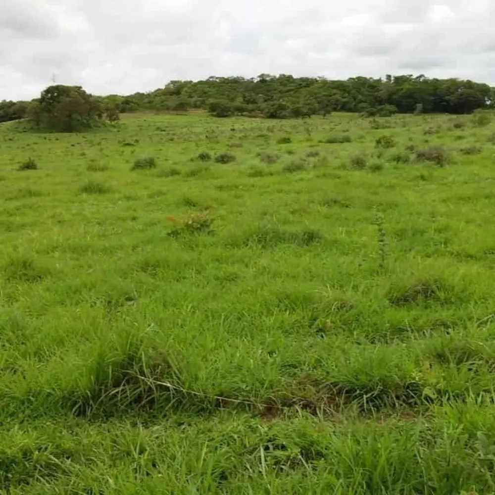 Fazenda, 1 quarto - Foto 9