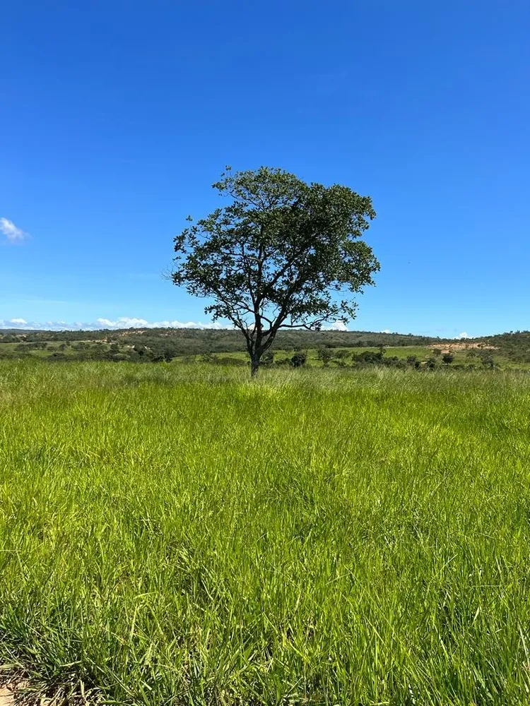 Fazenda, 1 quarto - Foto 8