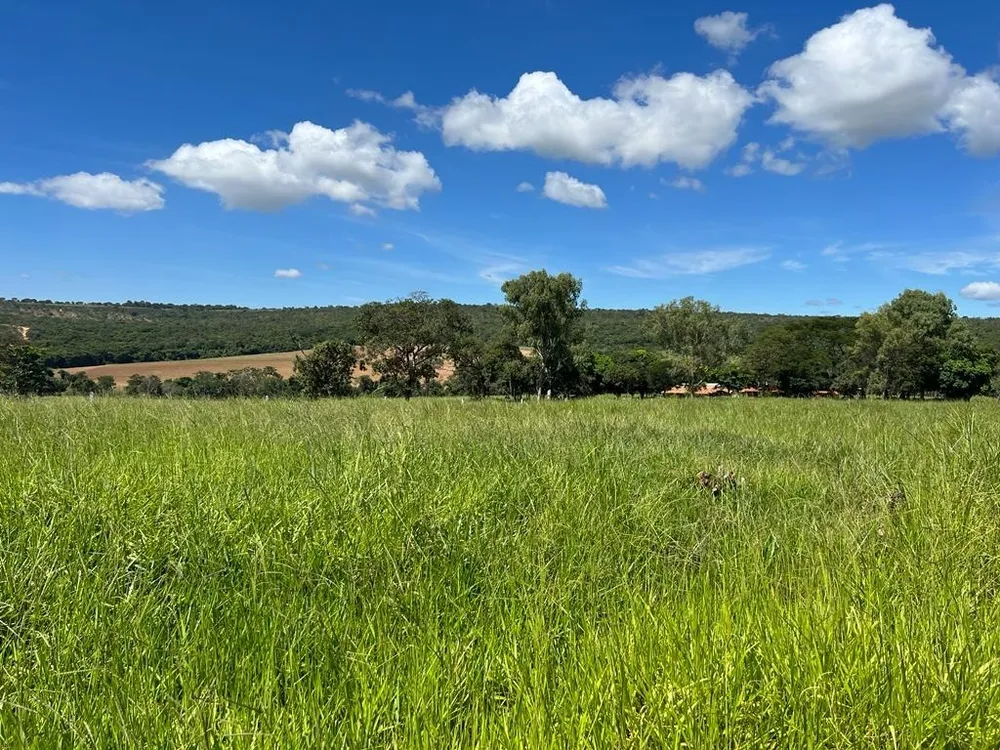 Fazenda, 1 quarto - Foto 4