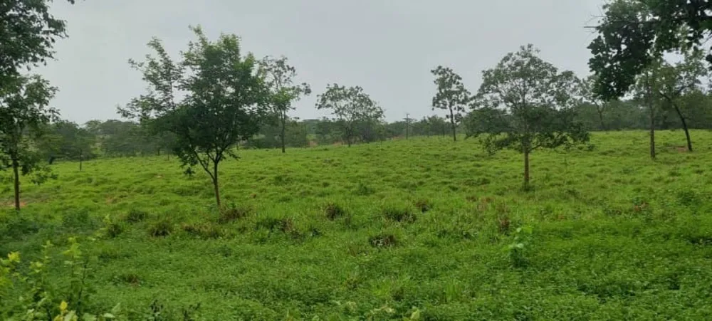 Fazenda, 1 quarto - Foto 6