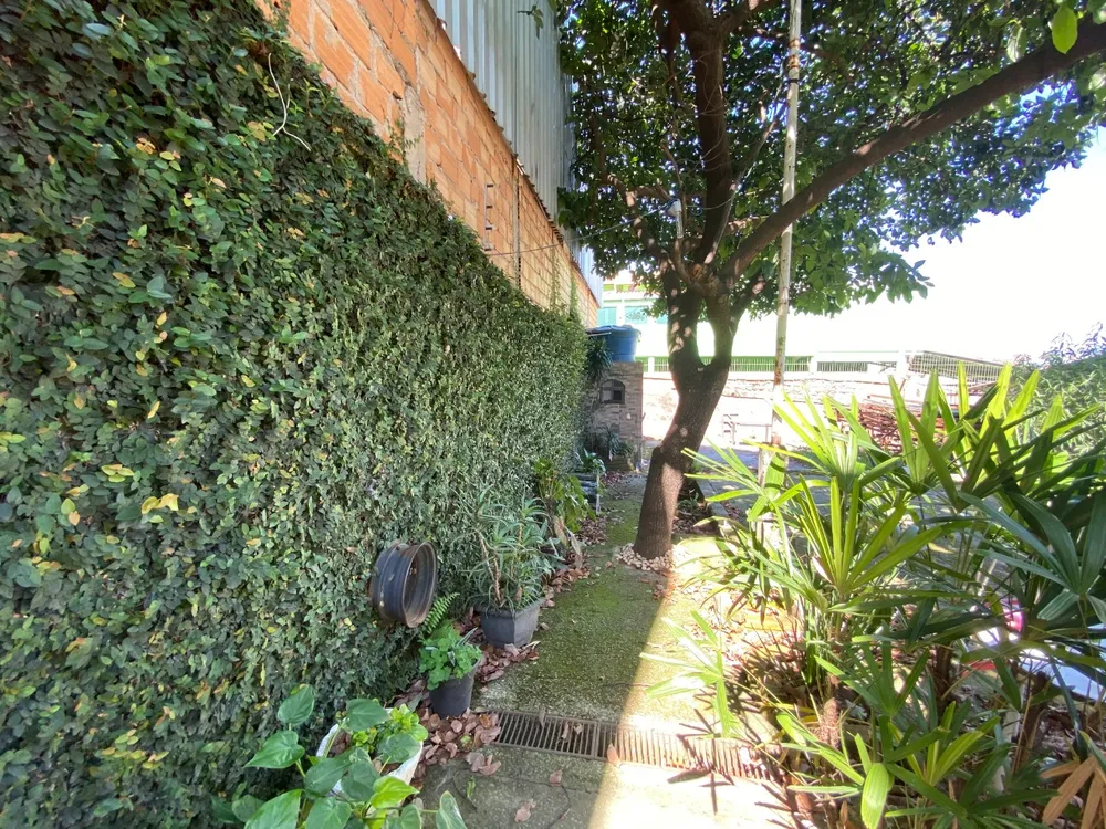 Casa, 2 quartos, 400 m² - Foto 6