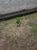 Terreno, 360 m² - Foto 1
