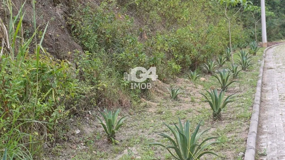 Terreno, 1000 m² - Foto 13