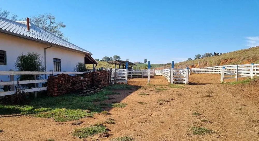 Fazenda, 209 hectares - Foto 9