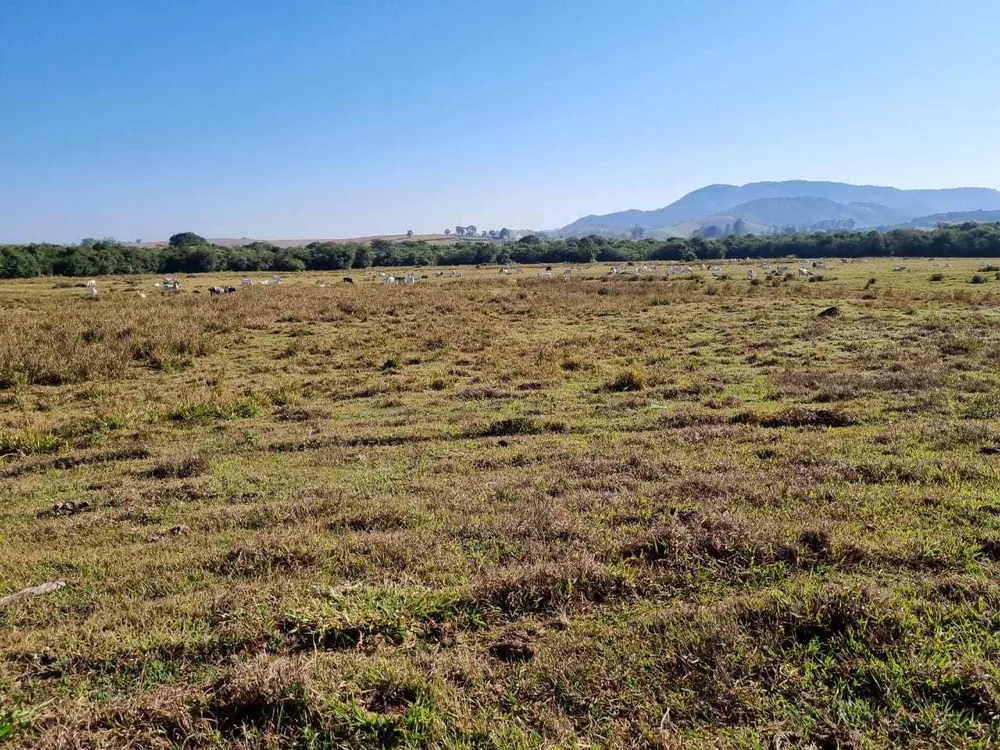 Fazenda, 209 hectares - Foto 4