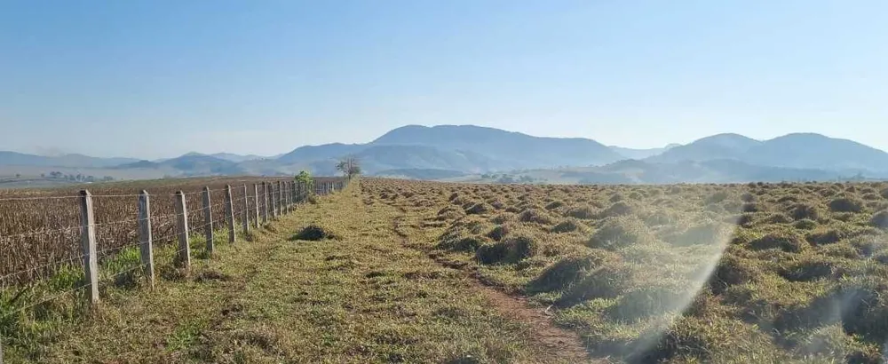 Fazenda, 209 hectares - Foto 12