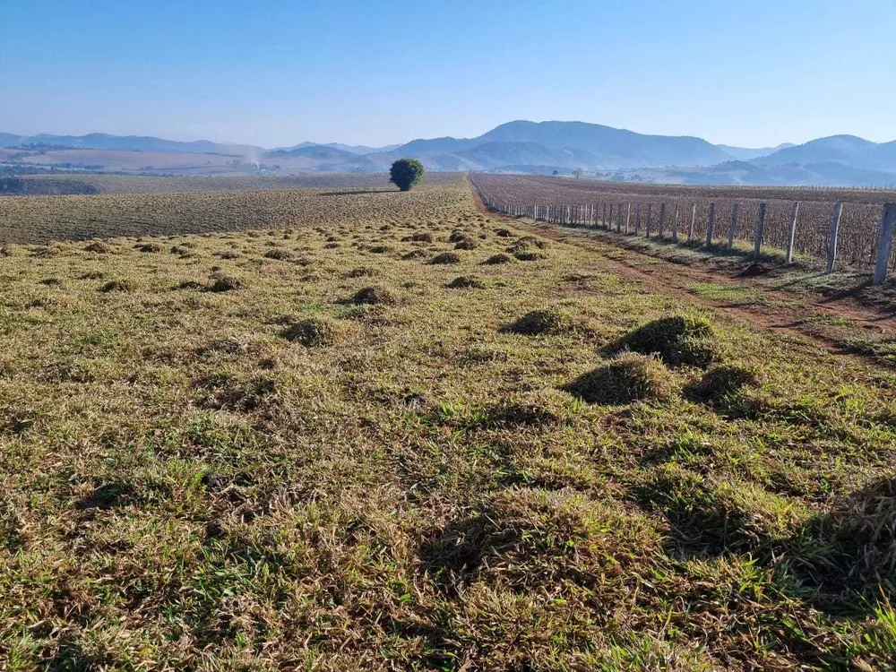 Fazenda, 209 hectares - Foto 18