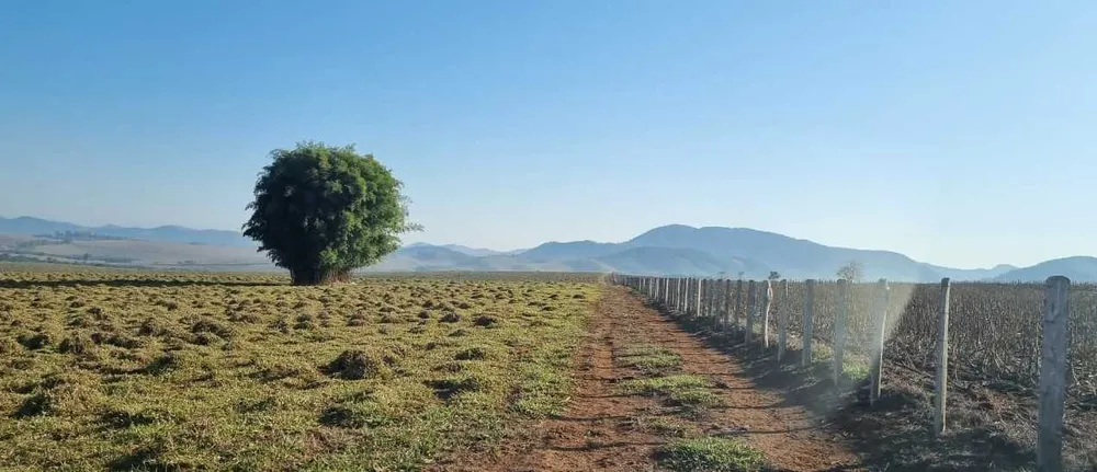Fazenda, 209 hectares - Foto 3