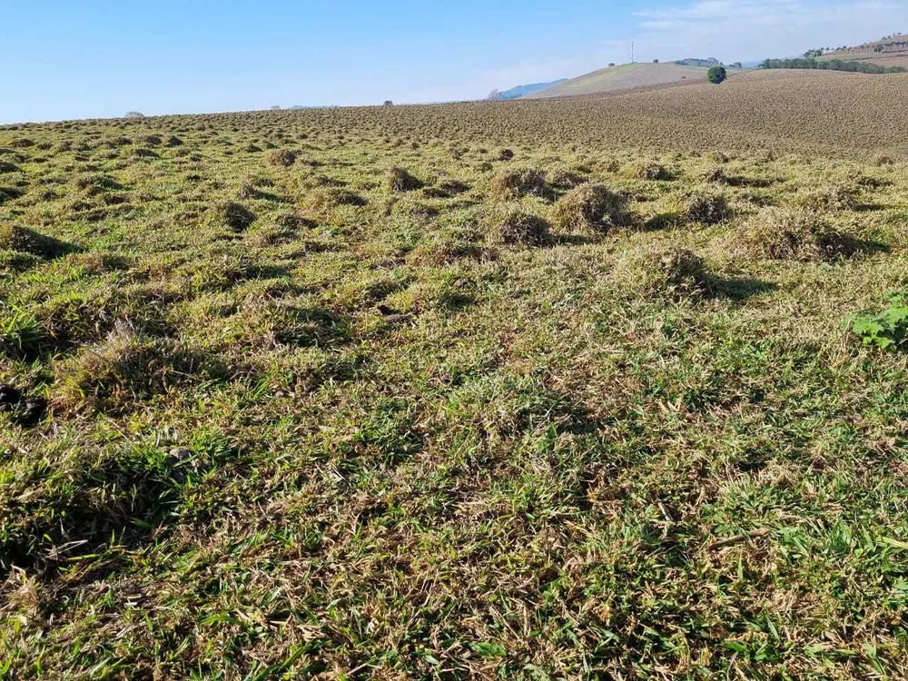 Fazenda, 209 hectares - Foto 10