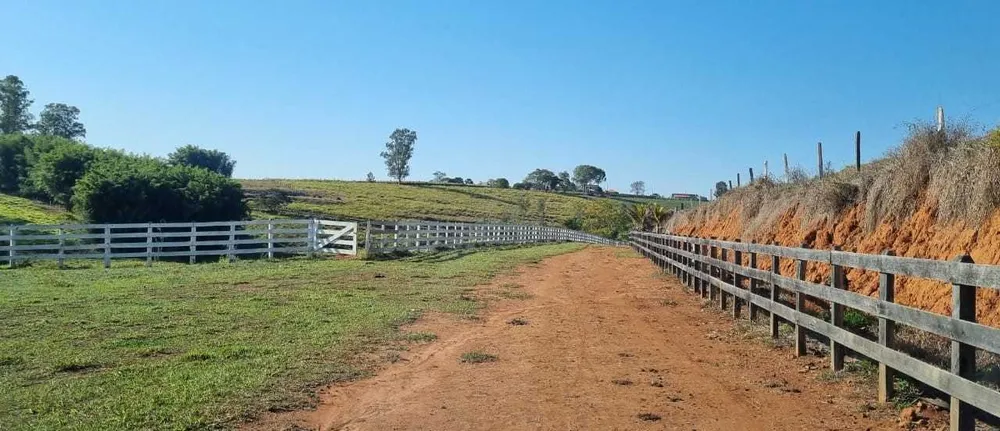 Fazenda, 209 hectares - Foto 8