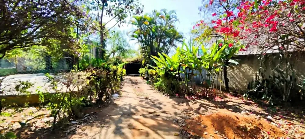 Chácara, 5 quartos - Foto 5