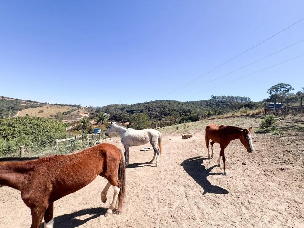 Terreno, 3800 m² - Foto 13