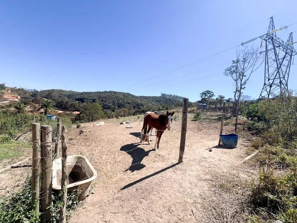 Terreno, 3800 m² - Foto 15
