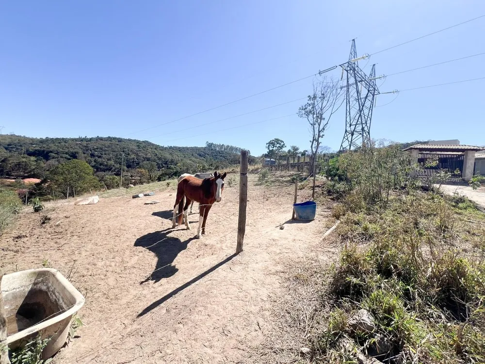 Terreno, 3800 m² - Foto 14