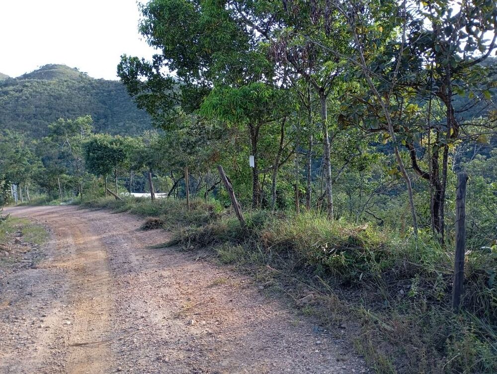 Chácara à venda com 1 quarto, 2000m² - Foto 3