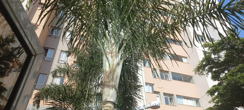 Apartamento, 3 quartos, 68 m² - Foto 10