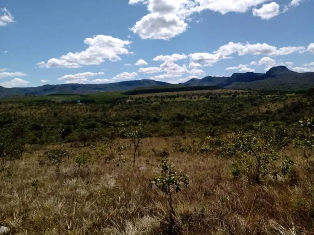 Fazenda, 253 m² - Foto 3