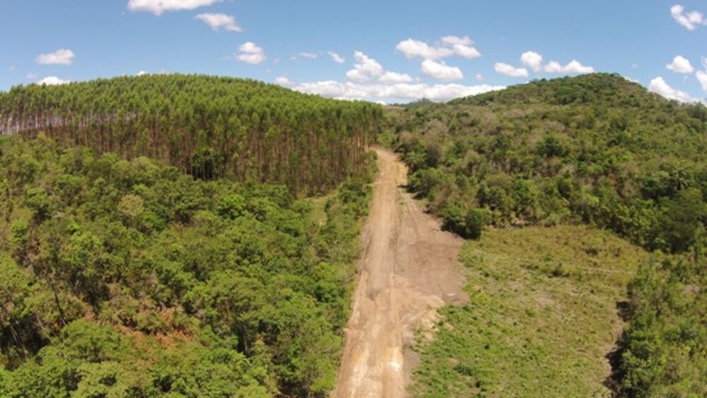 Fazenda à venda com 1 quarto, 20000m² - Foto 3