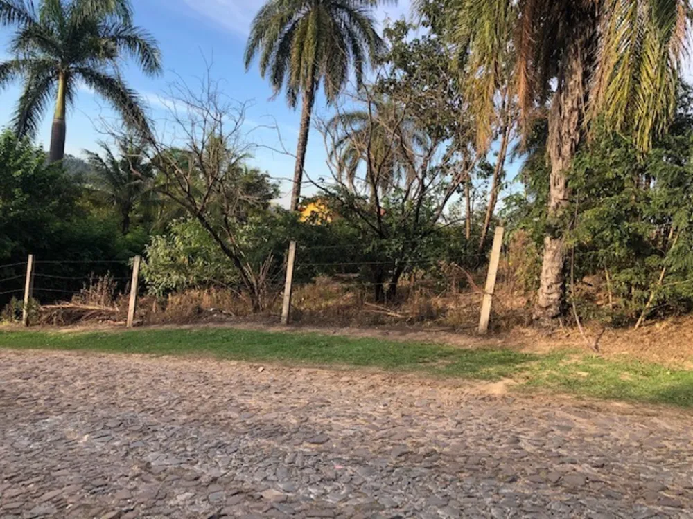 Terreno, 3186 m² - Foto 6