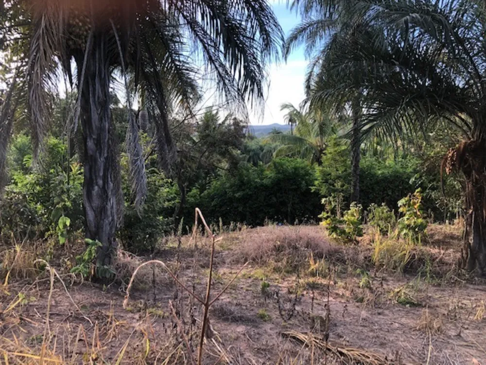 Terreno, 3186 m² - Foto 11