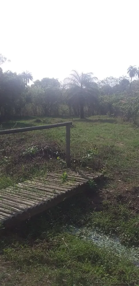 Terreno - Foto 4