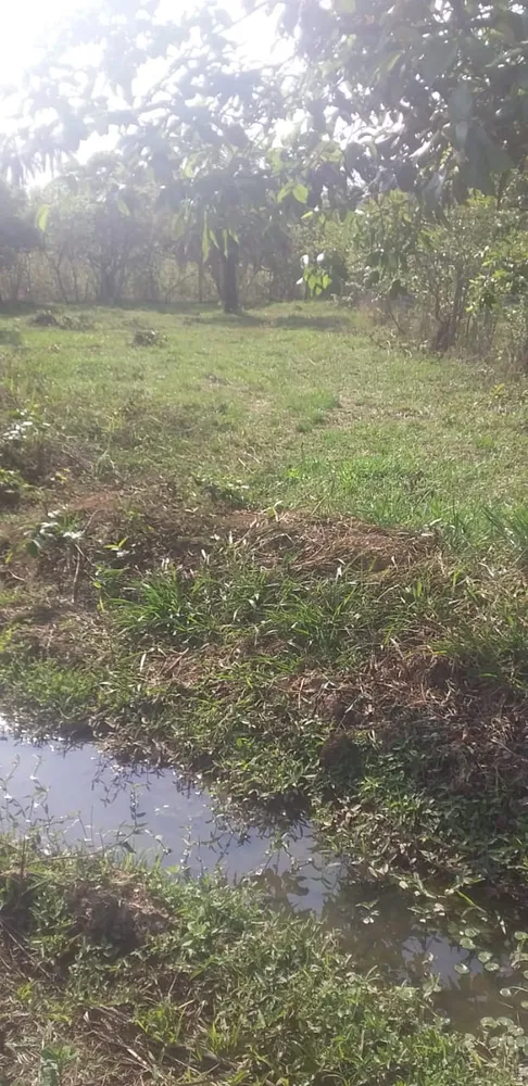 Terreno - Foto 2