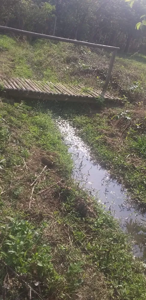 Terreno - Foto 3