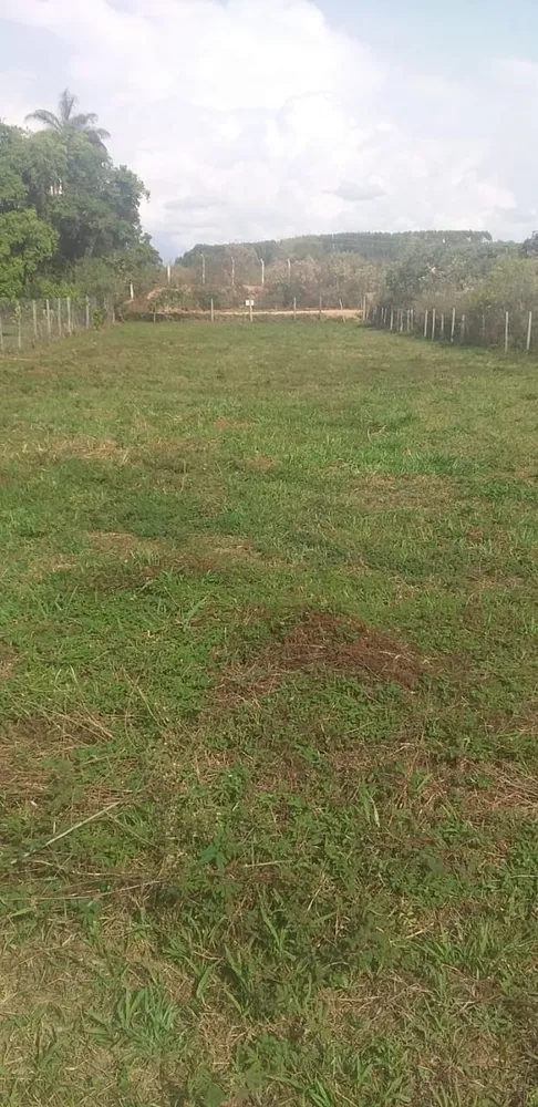 Terreno - Foto 5