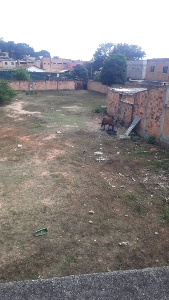 Terreno, 1800 m² - Foto 3