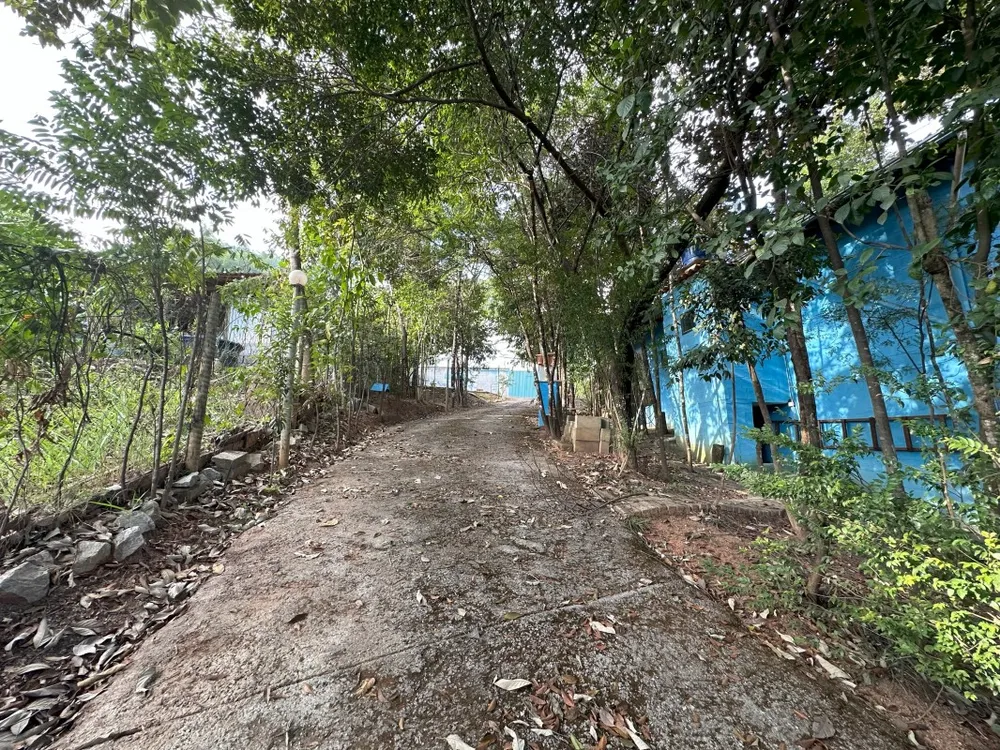 Chácara, 3 quartos, 1000 m² - Foto 11