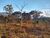 Terreno, 360 m² - Foto 3