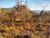 Terreno, 360 m² - Foto 1