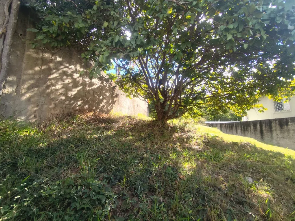 Terreno, 383 m² - Foto 3