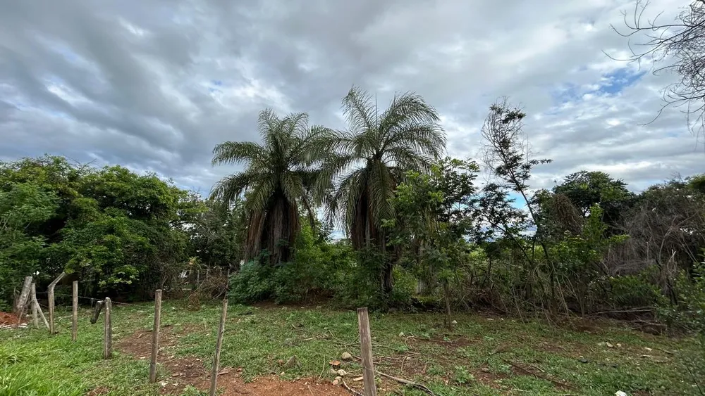 Terreno, 2 hectares - Foto 4