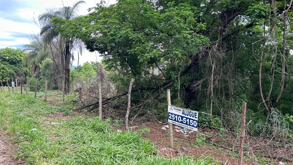 Terreno, 2 hectares - Foto 8