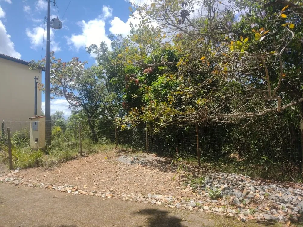 Sítio, 1 quarto, 24000 m² - Foto 9