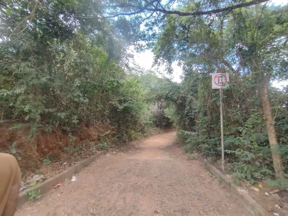 Sítio, 1 quarto, 24000 m² - Foto 2