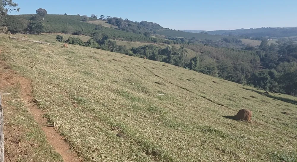 Sítio, 1 quarto, 17 hectares - Foto 1