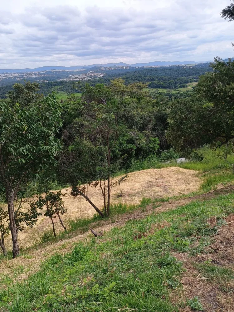 Chácara, 3 quartos, 5000 m² - Foto 10