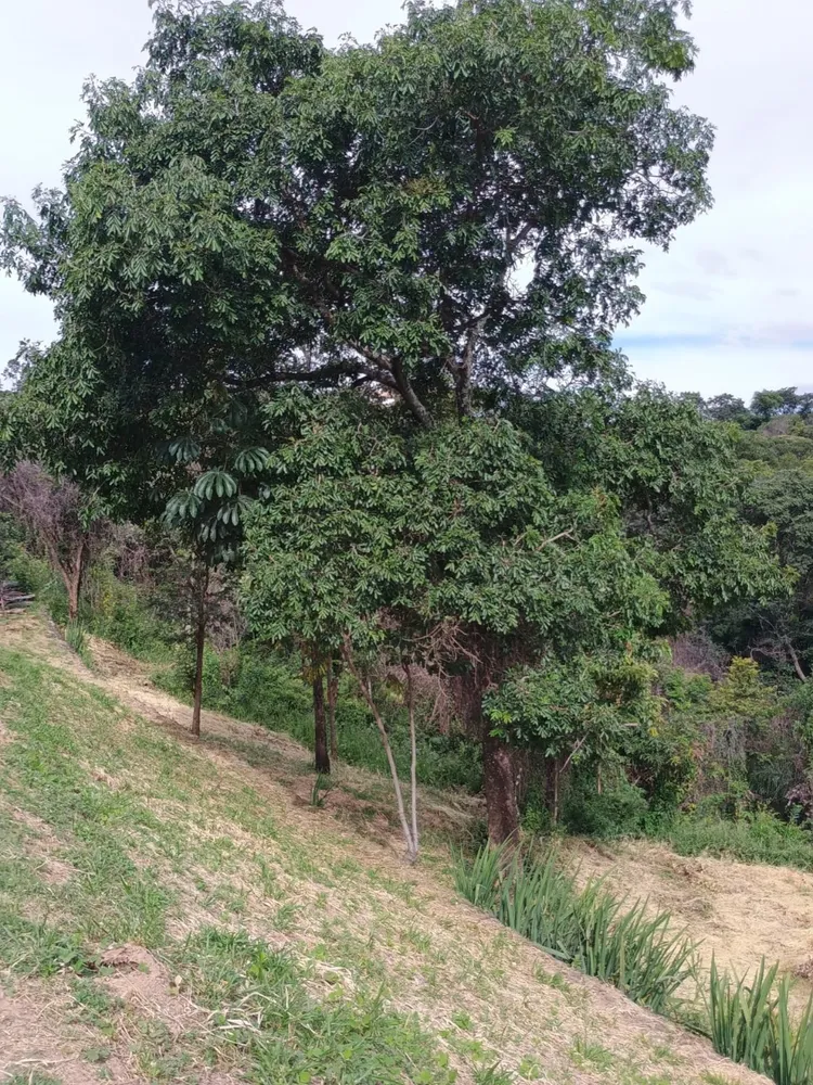 Chácara, 3 quartos, 5000 m² - Foto 9