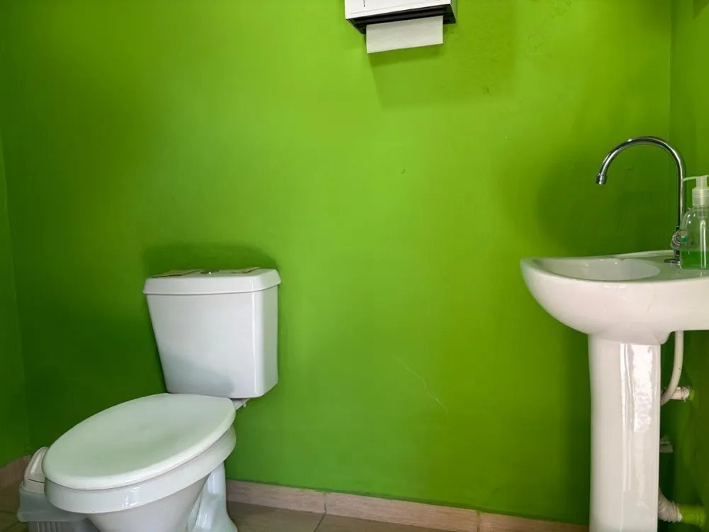 Casa, 3 quartos, 240 m² - Foto 12