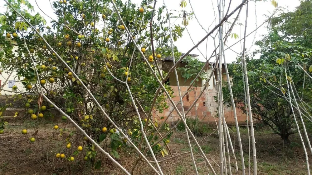Chácara, 4 quartos - Foto 10