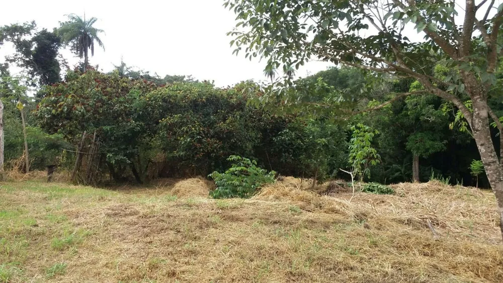 Chácara, 4 quartos - Foto 11