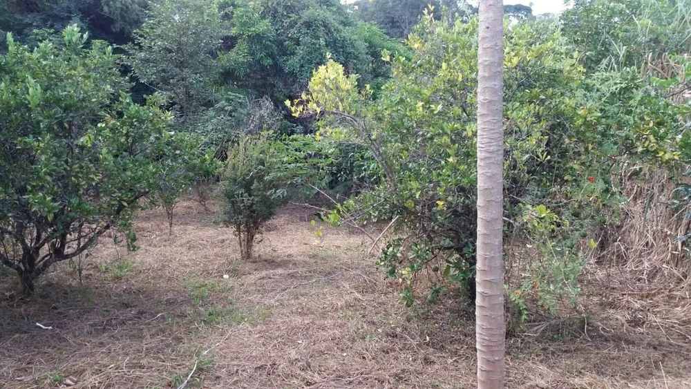 Chácara, 4 quartos - Foto 12