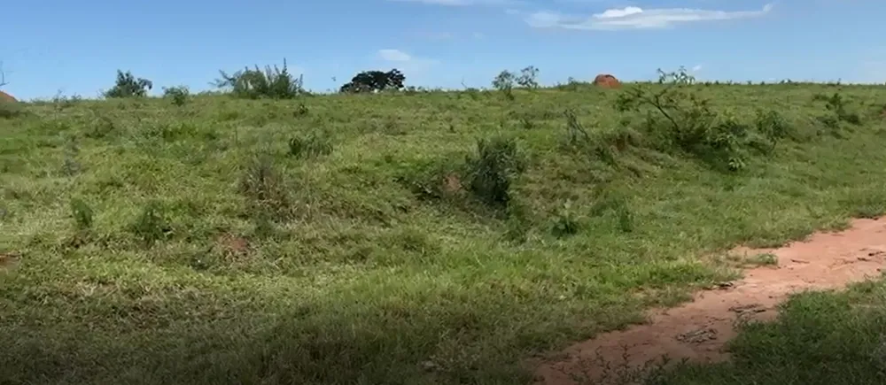 Fazenda, 365 hectares - Foto 3