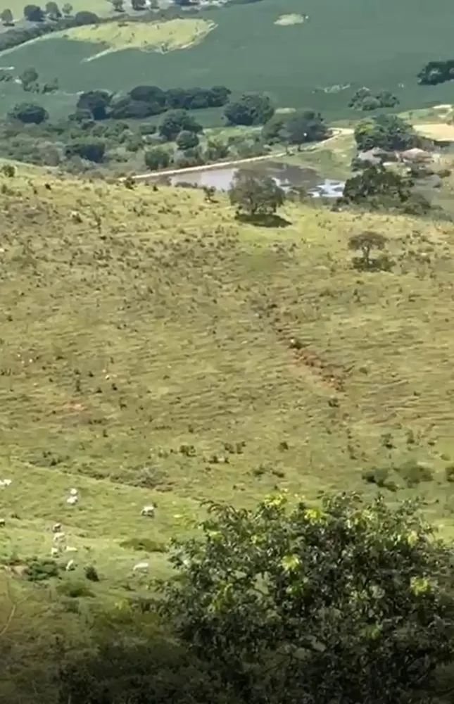 Fazenda, 365 hectares - Foto 1