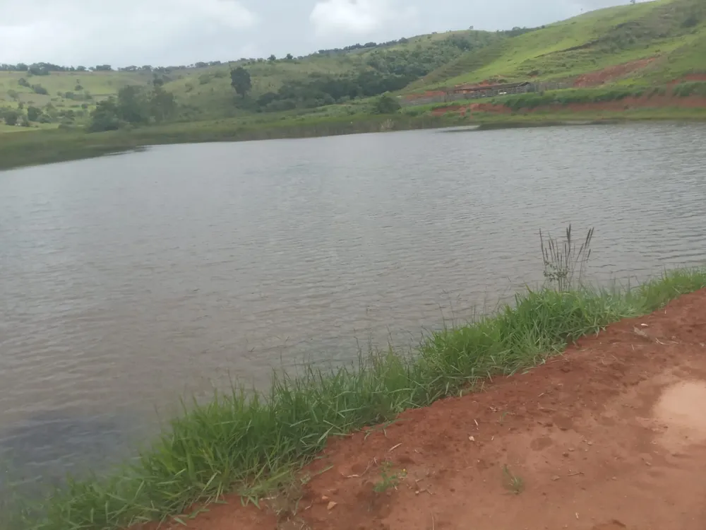 Fazenda, 365 hectares - Foto 2
