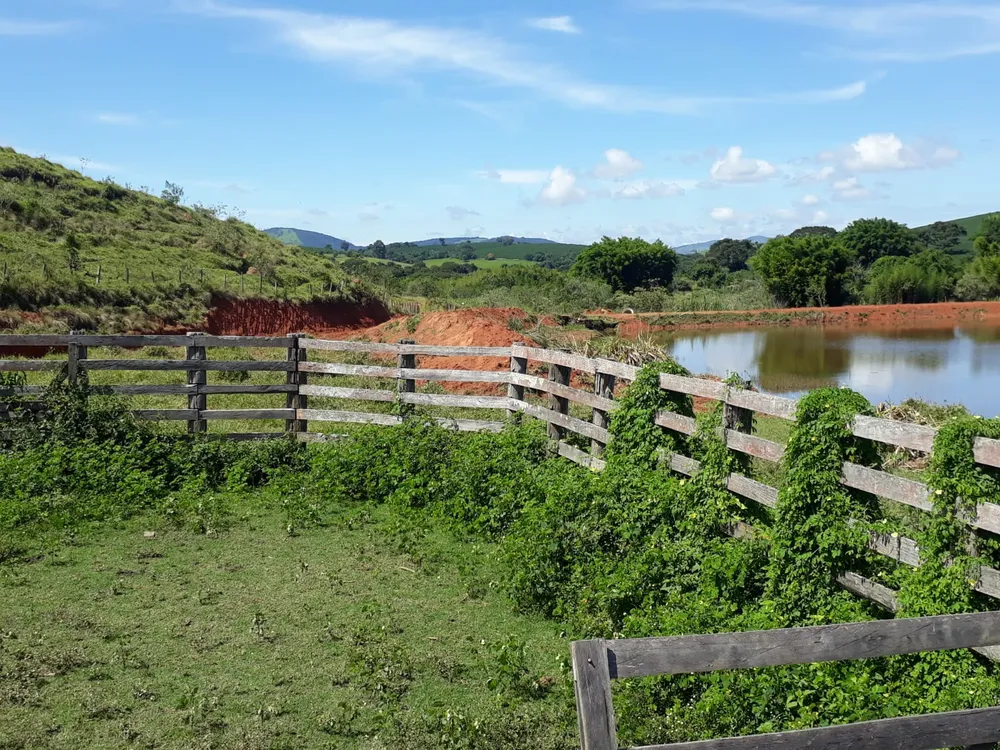 Fazenda, 365 hectares - Foto 6
